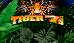Everi - Tiger 7's